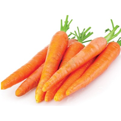 Морковь молодая 1 кг - купить в Елизаветино