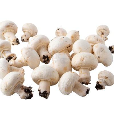 Шампиньоны свежие 500 г - купить в Елизаветино